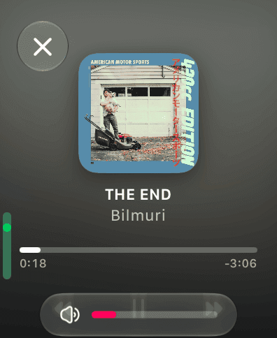 Vulpo on Apple Watch: Now Playing with volume and playback controls