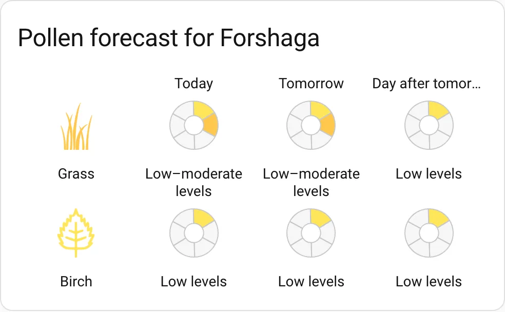 Daily pollen forecast card showing grass and birch over several days, one level ring per day