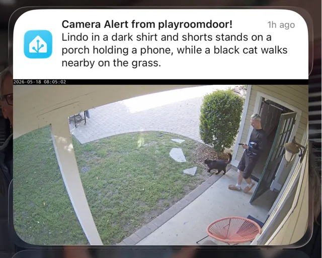 camera alert notification