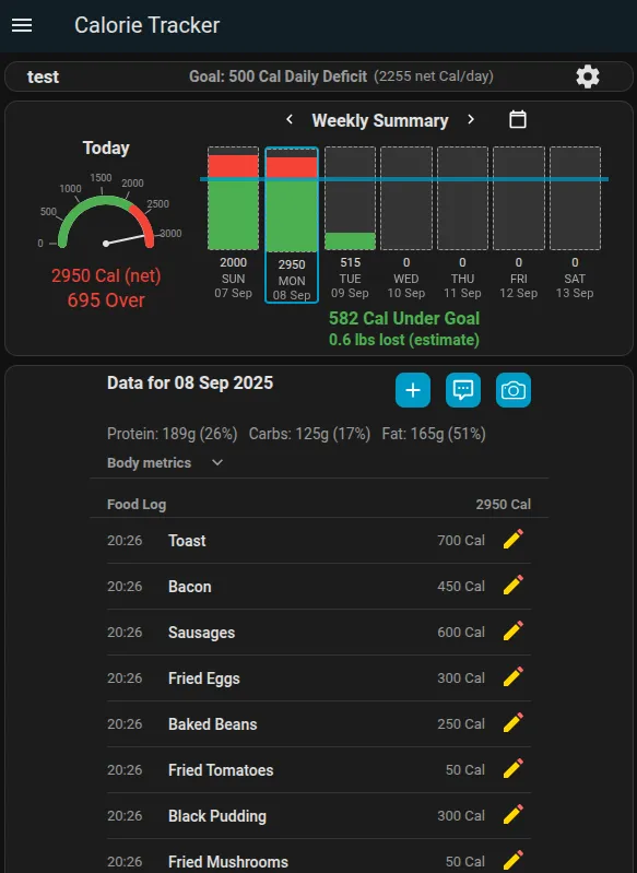 Calorie Tracker Panel